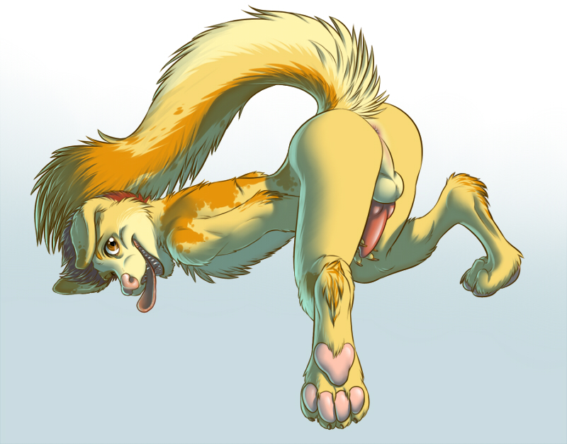 2013 Rule 34 Image