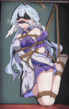 Honkai (Series) Rule 34 Image
