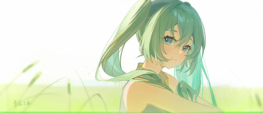 Hatsune Miku (Vocaloid) Rule 34 Image