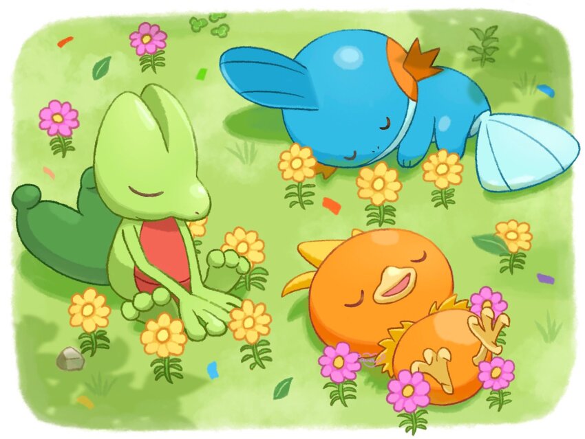 Gen 3 Pokemon (Nintendo) Rule 34 Image