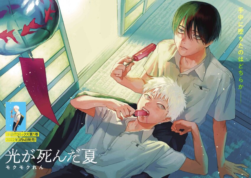 Indou Hikaru (Hikaru Ga Shinda Natsu) Rule 34 Image