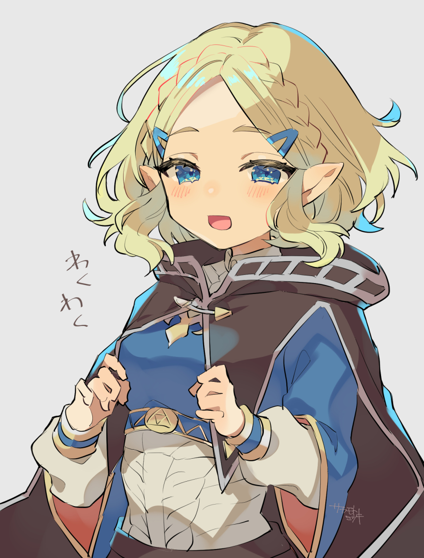 Princess Zelda (Nintendo) Rule 34 Image