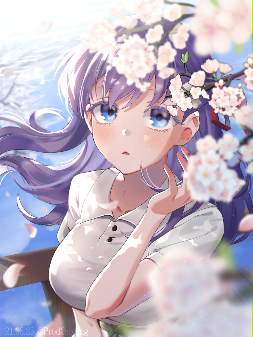 Matou Sakura (Fate/Stay Night) Rule 34 Image