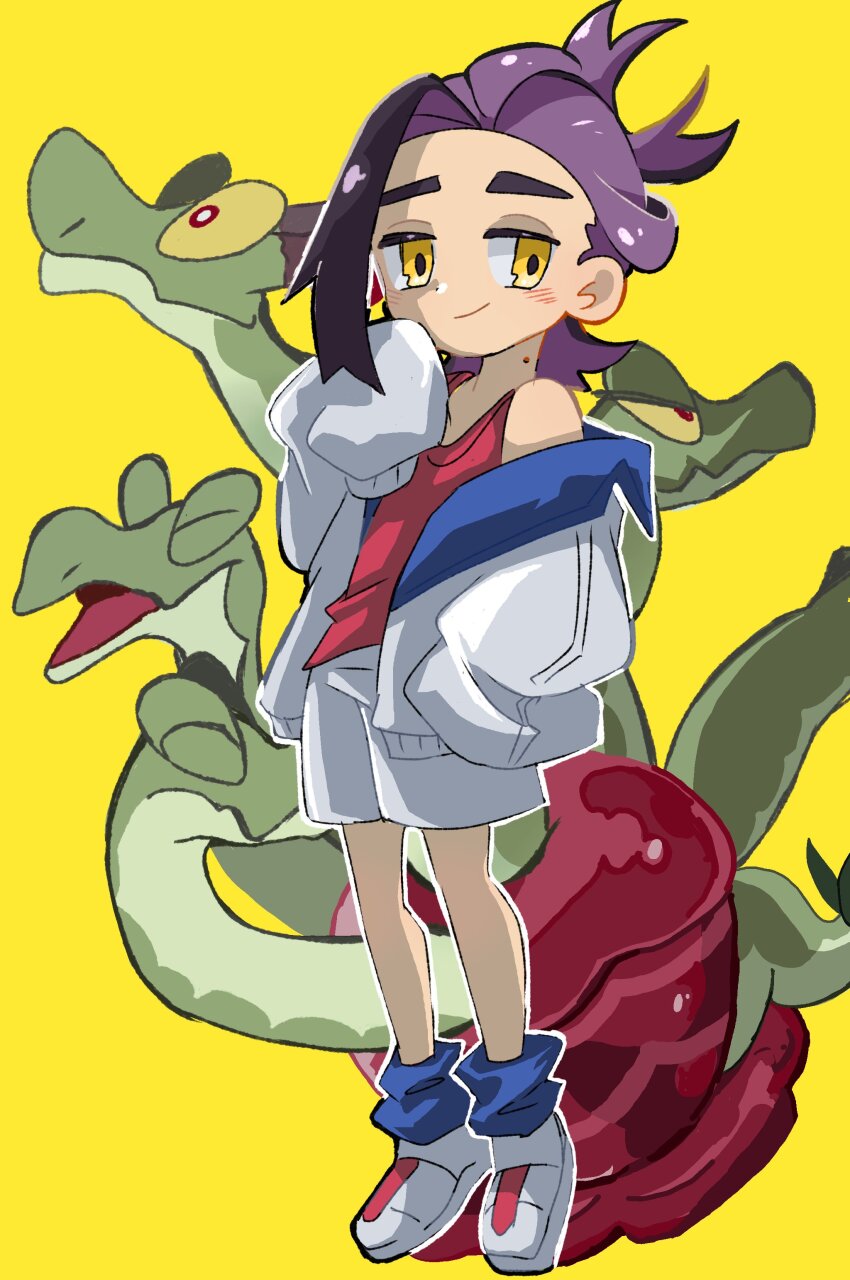 Hydrapple (Nintendo) Rule 34 Image