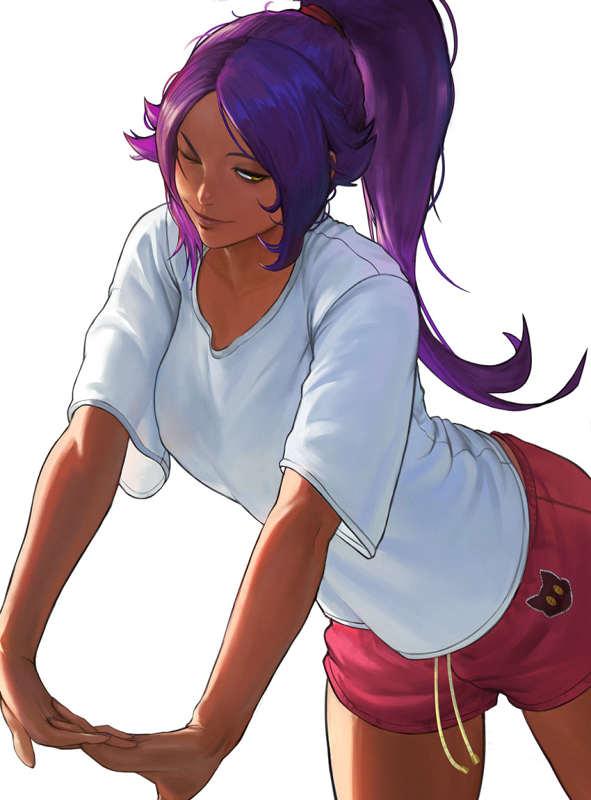Shihouin Yoruichi (Bleach) Rule 34 Image