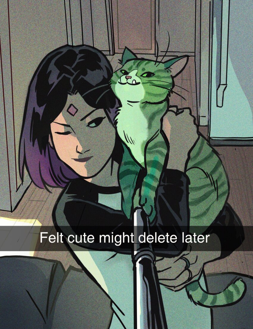 Beast Boy (Dc) Rule 34 Image