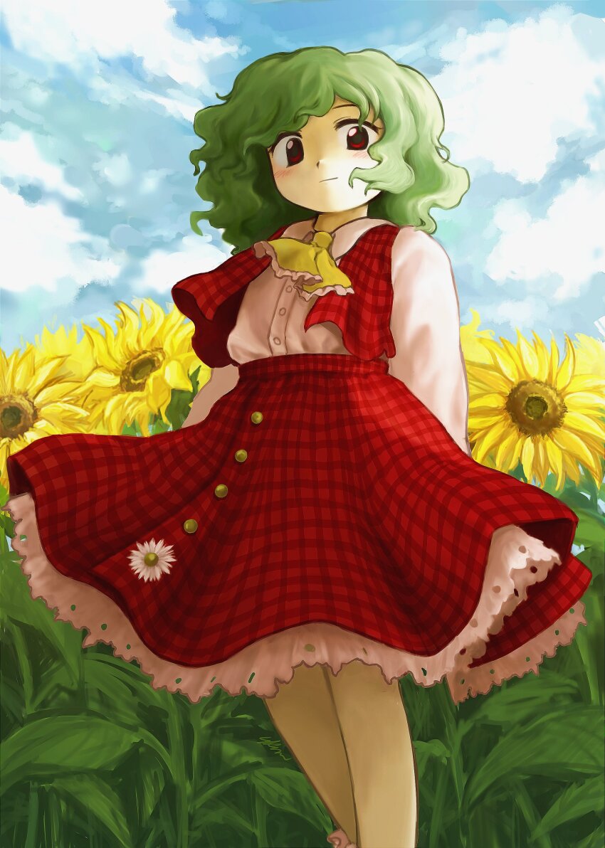 Kazami Yuuka (Touhou) Rule 34 Image
