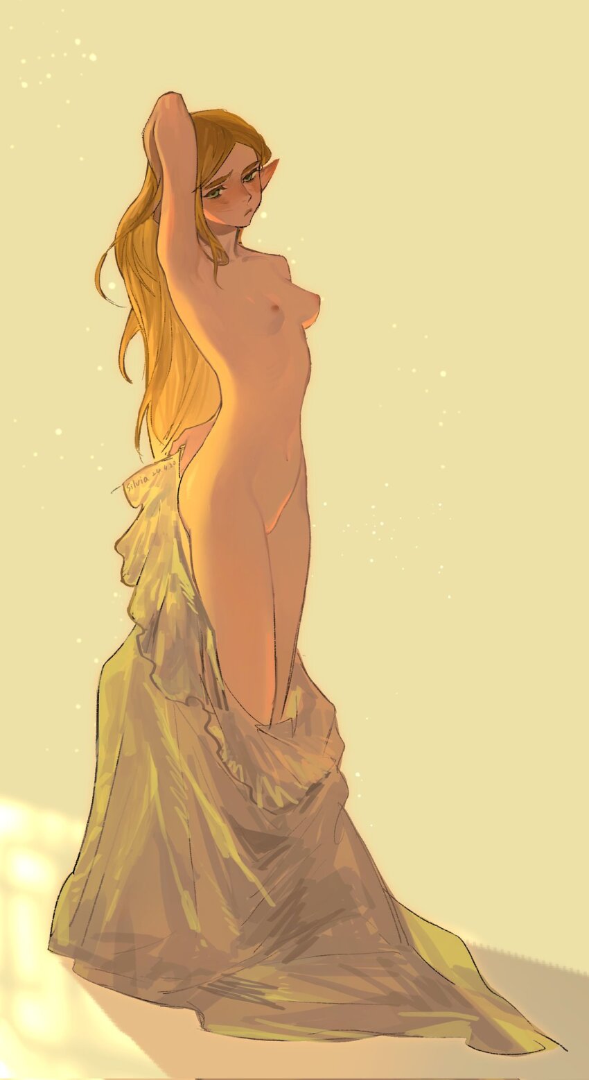 Princess Zelda (Nintendo) Rule 34 Image