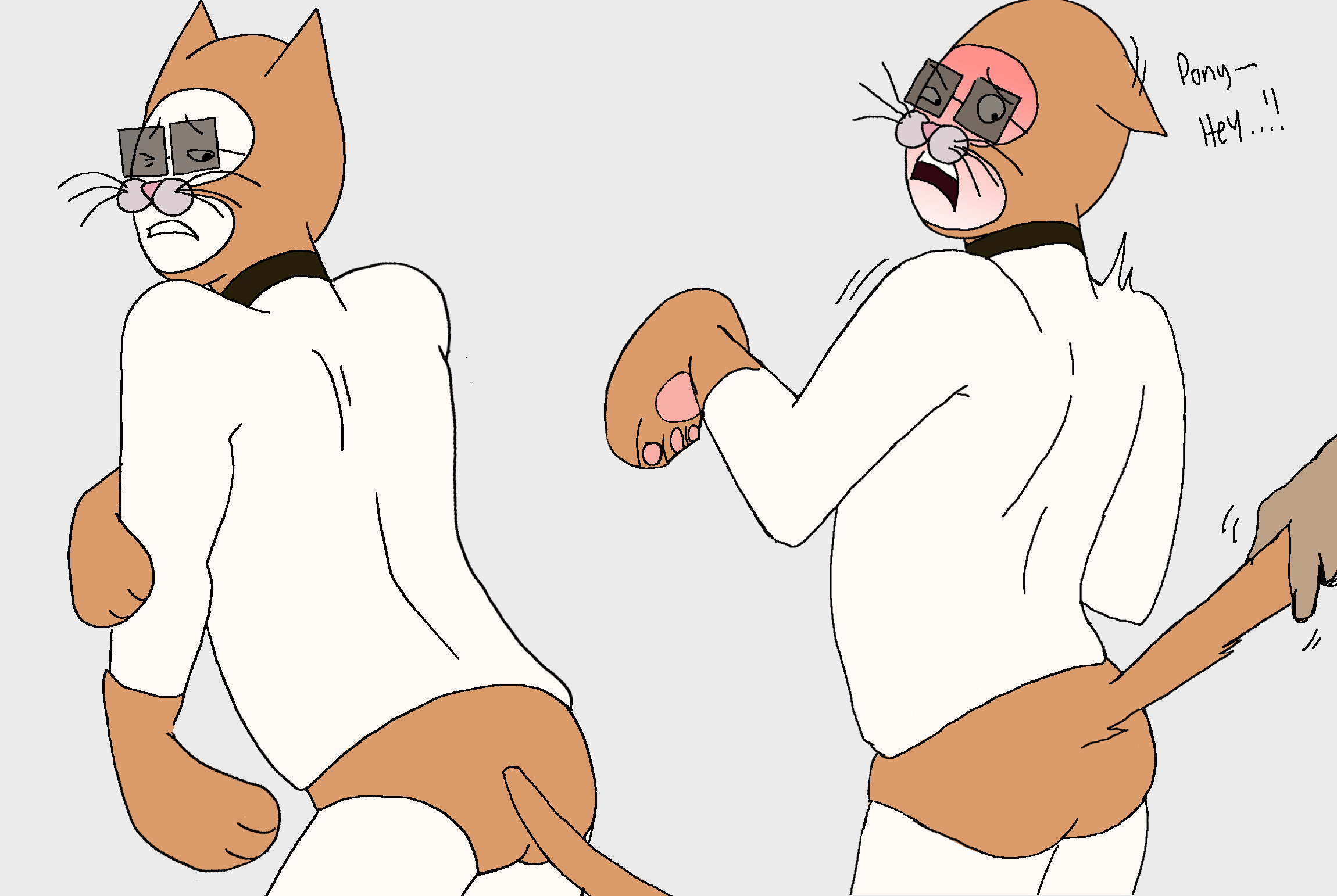 Adult Swim Rule 34 Image