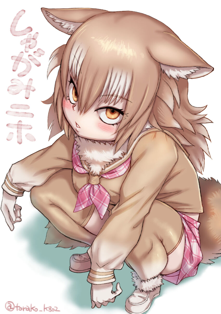 Japanese Wolf (Kemono Friends) Rule 34 Image