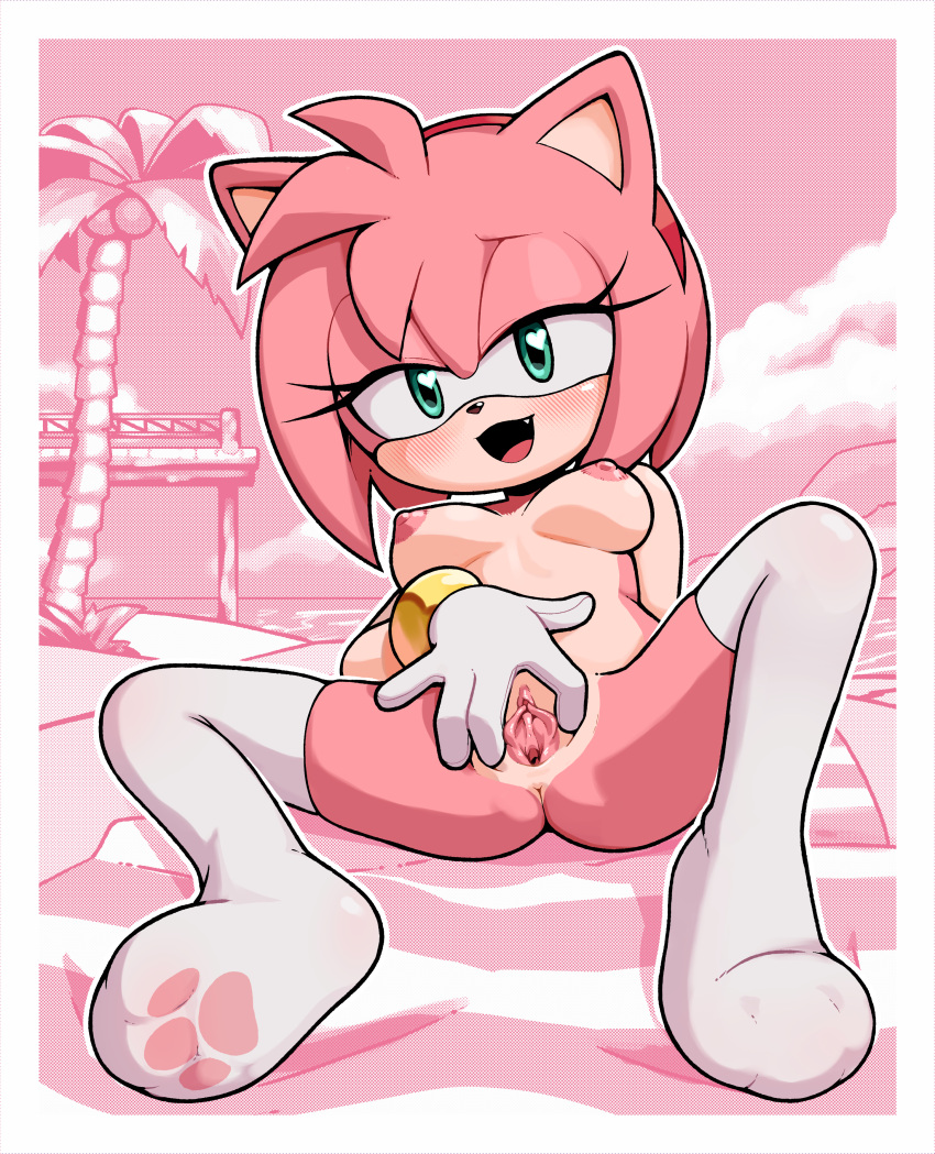 Amy Rose (Sega) Rule 34 Image