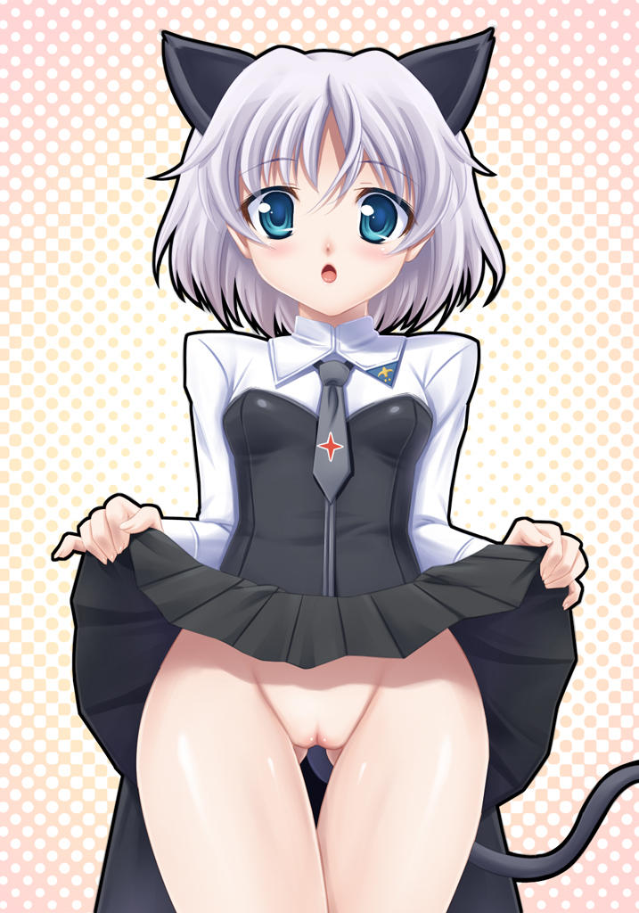 Sanya V. Litvyak (Strike Witches) Rule 34 Image
