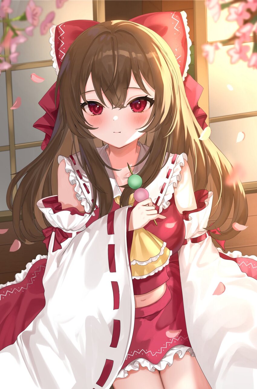 Hakurei Reimu (Touhou) Rule 34 Image