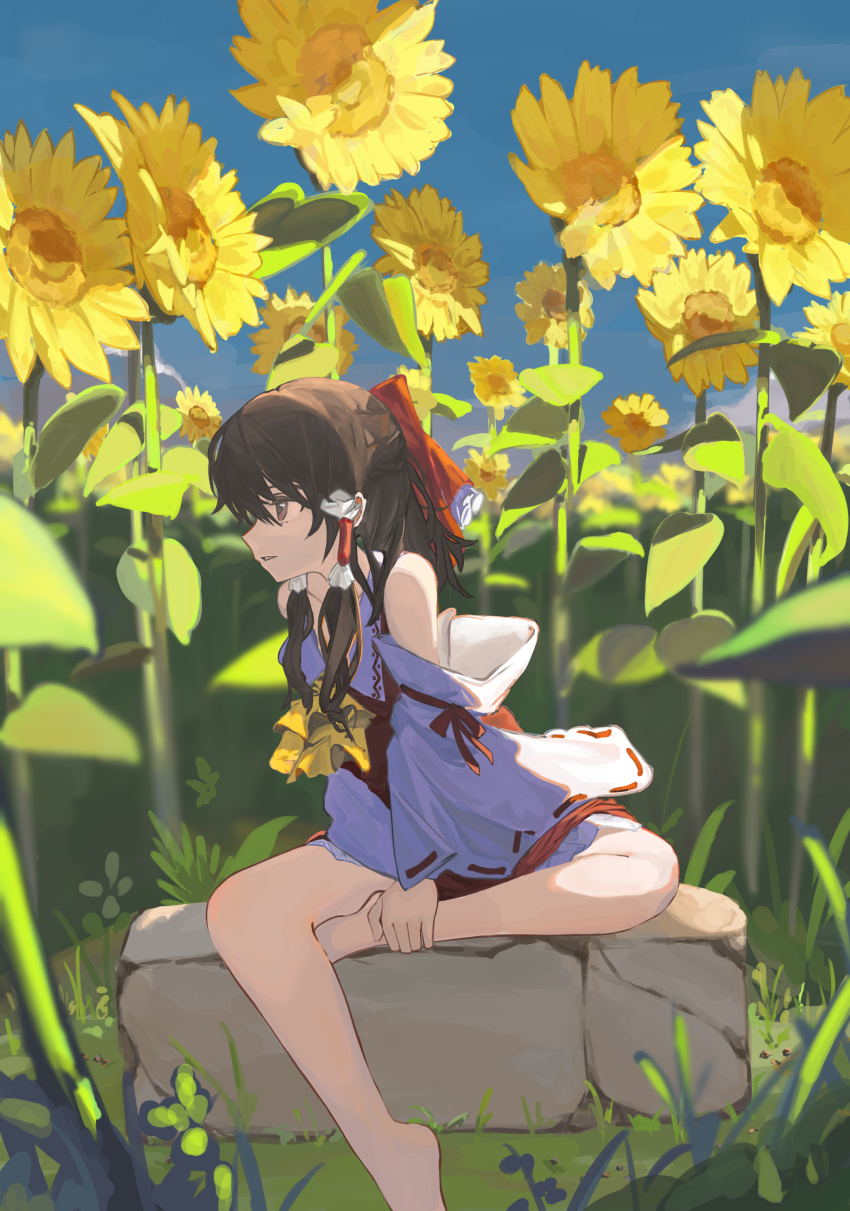 Hakurei Reimu (Touhou) Rule 34 Image