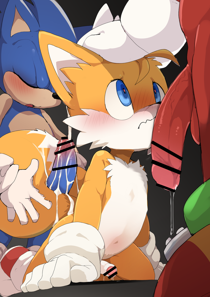 Knuckles The Echidna (Sonic (Series)) Rule 34 Image