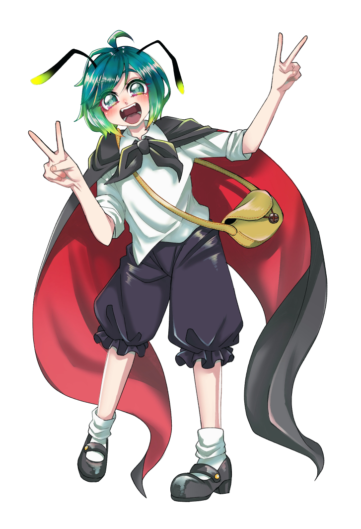 Wriggle Nightbug (Touhou) Rule 34 Image