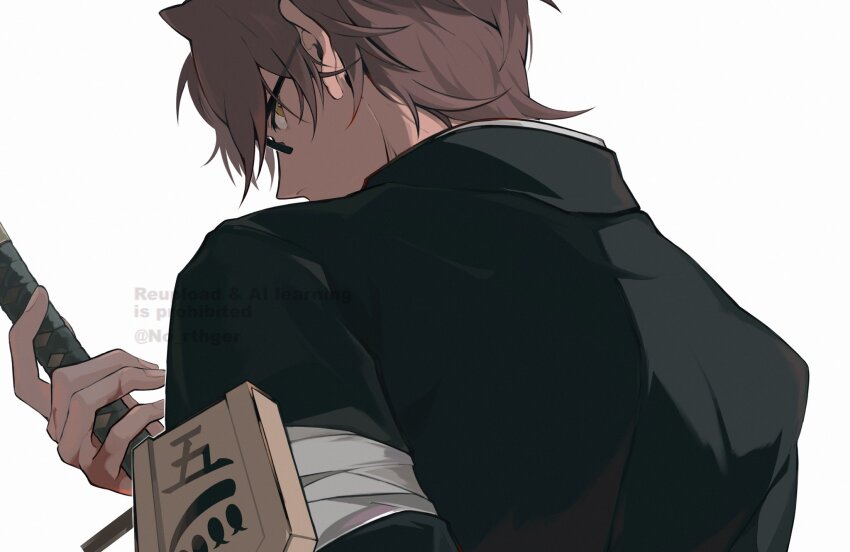 Aizen Sousuke (Bleach) Rule 34 Image