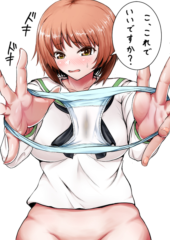 Nishizumi Miho (Girls Und Panzer) Rule 34 Image
