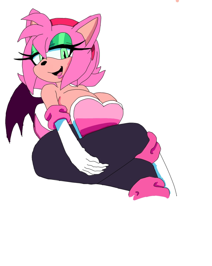 Amy Rose (Sonic (Series)) Rule 34 Image