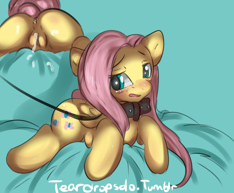Fluttershy (Mlp) Rule 34 Image