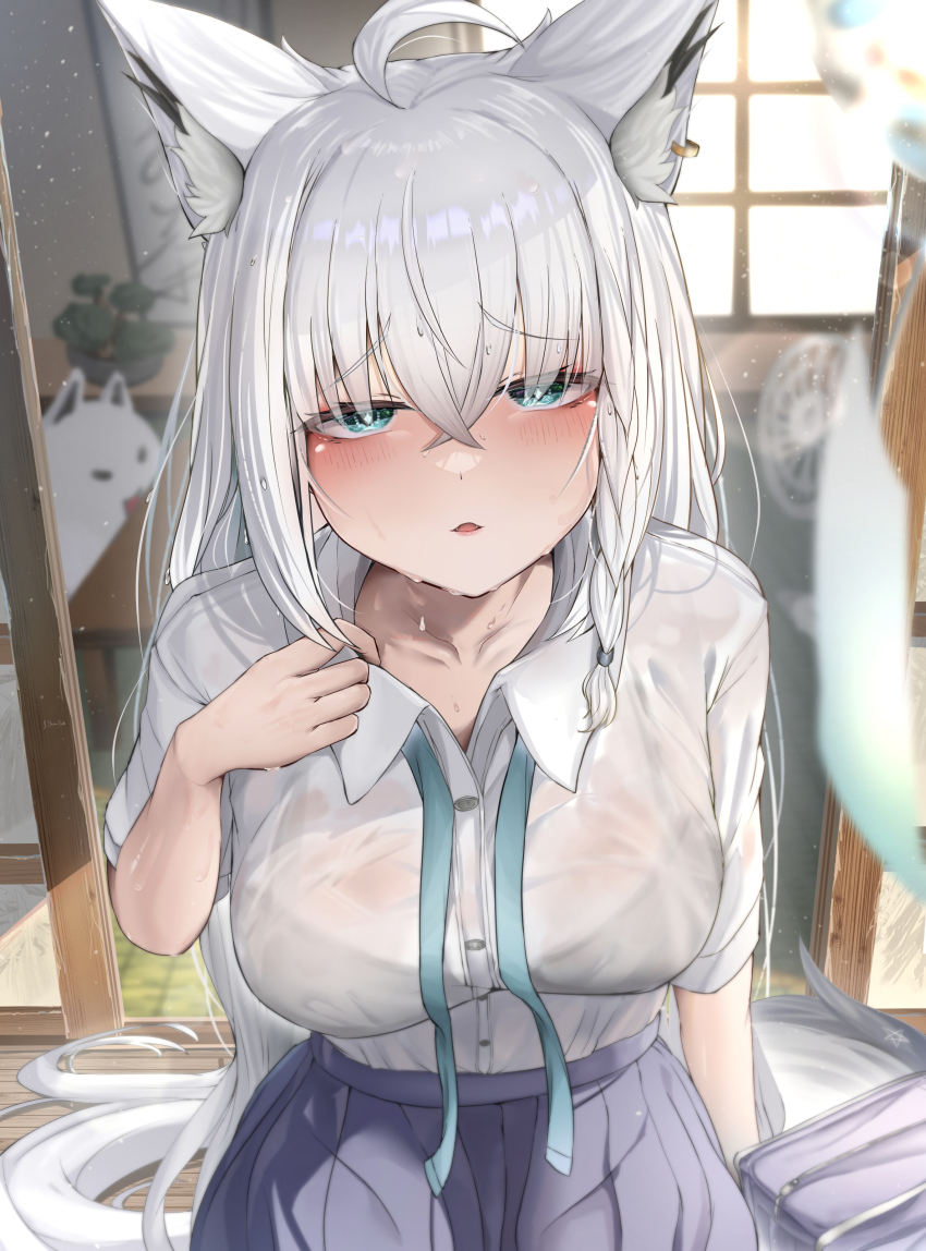 Shirakami Fubuki (Hololive) Rule 34 Image