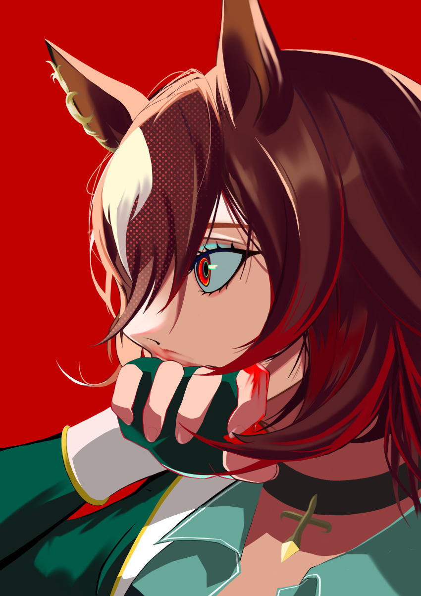 Sirius Symboli (Umamusume) Rule 34 Image