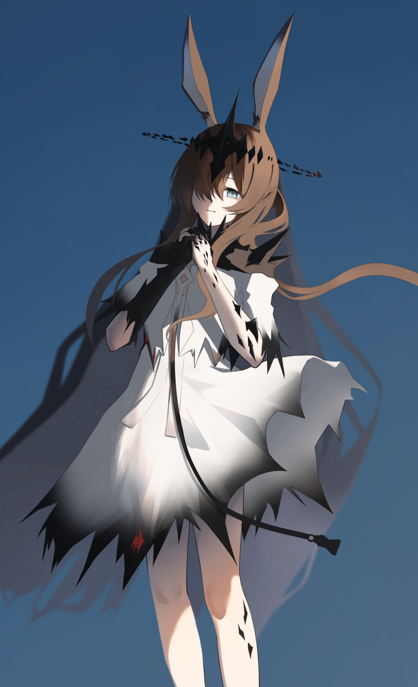 Amiya (Arknights) Rule 34 Image