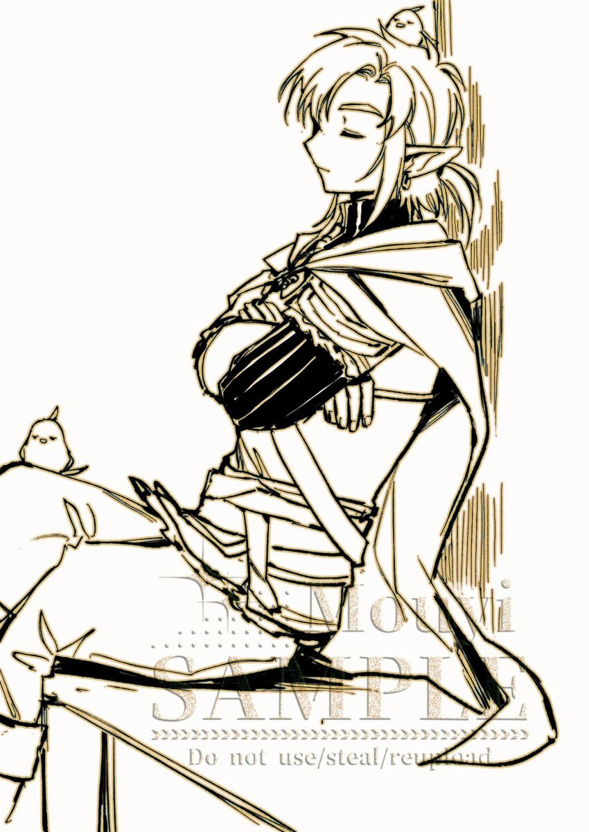 Link (Nintendo) Rule 34 Image