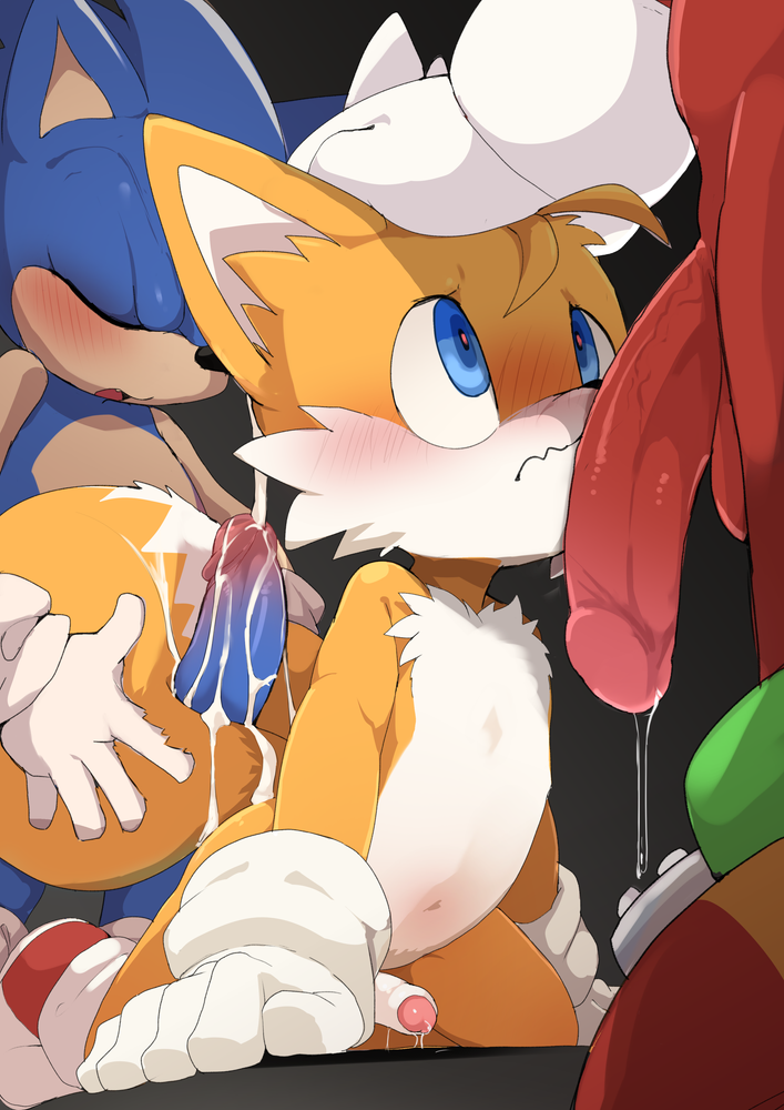 Knuckles The Echidna (Sonic (Series)) Rule 34 Image