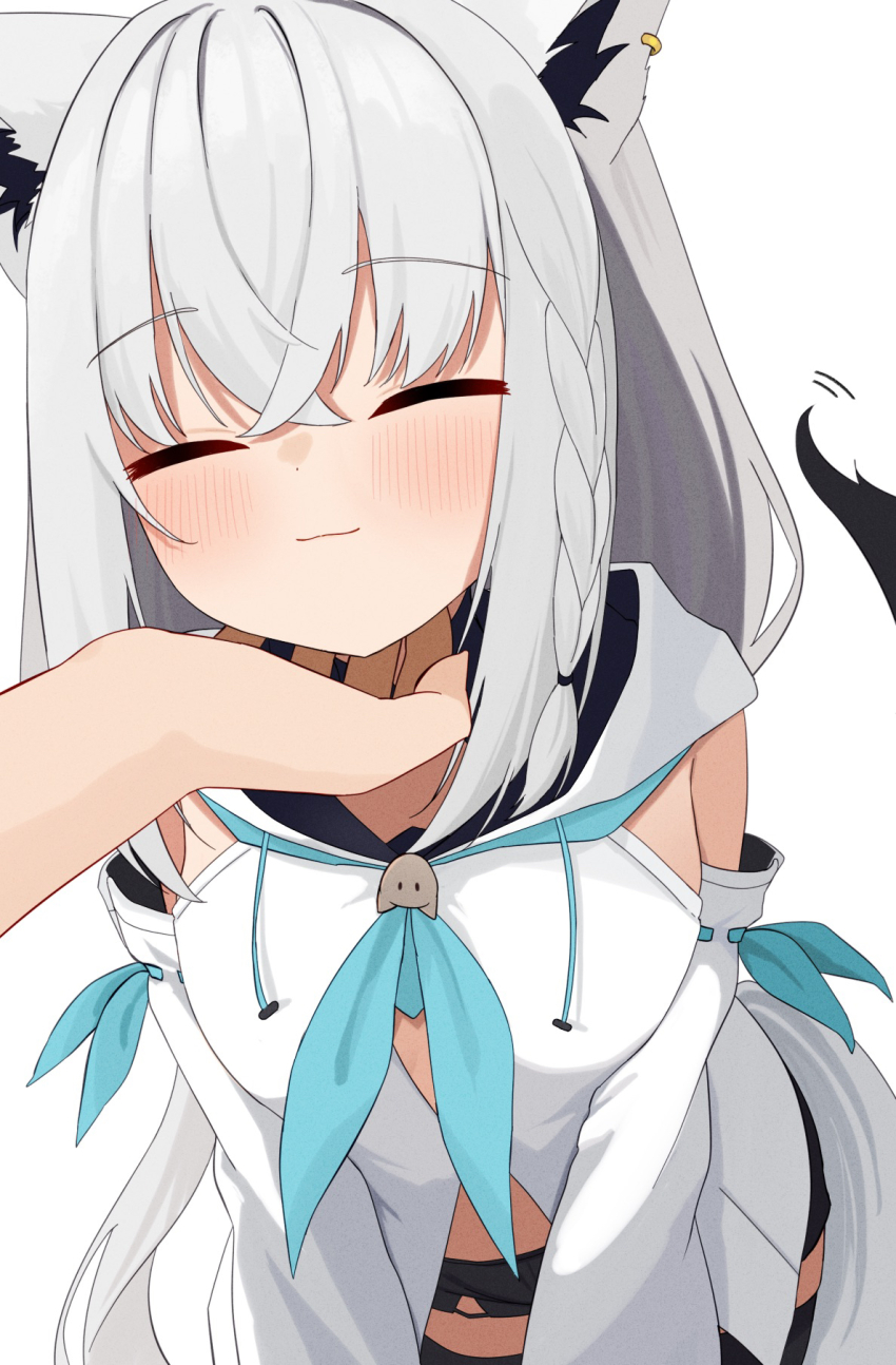 Shirakami Fubuki (Hololive) Rule 34 Image
