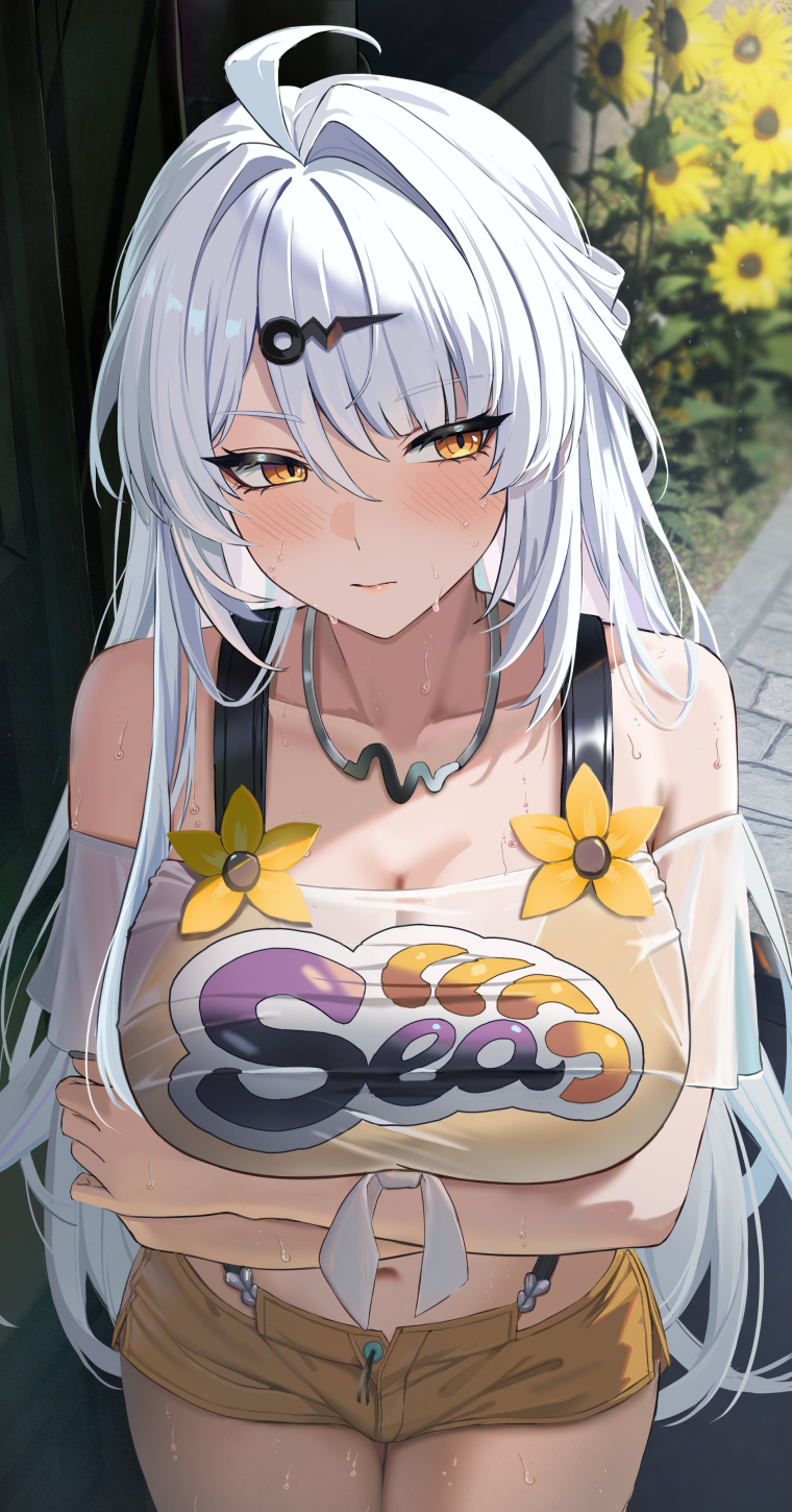 Belle (Summer Skies) (Zenless Zone Zero) Rule 34 Image
