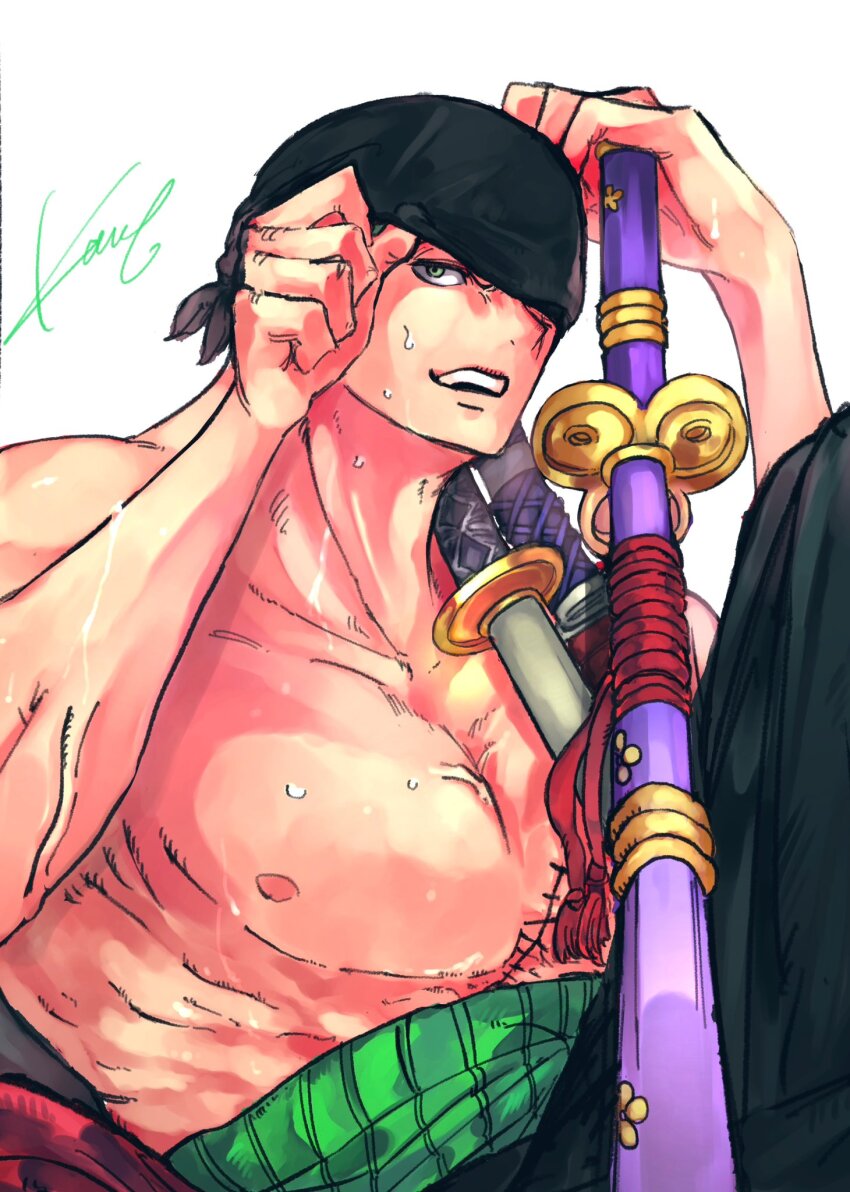 Roronoa Zoro (One Piece) Rule 34 Image