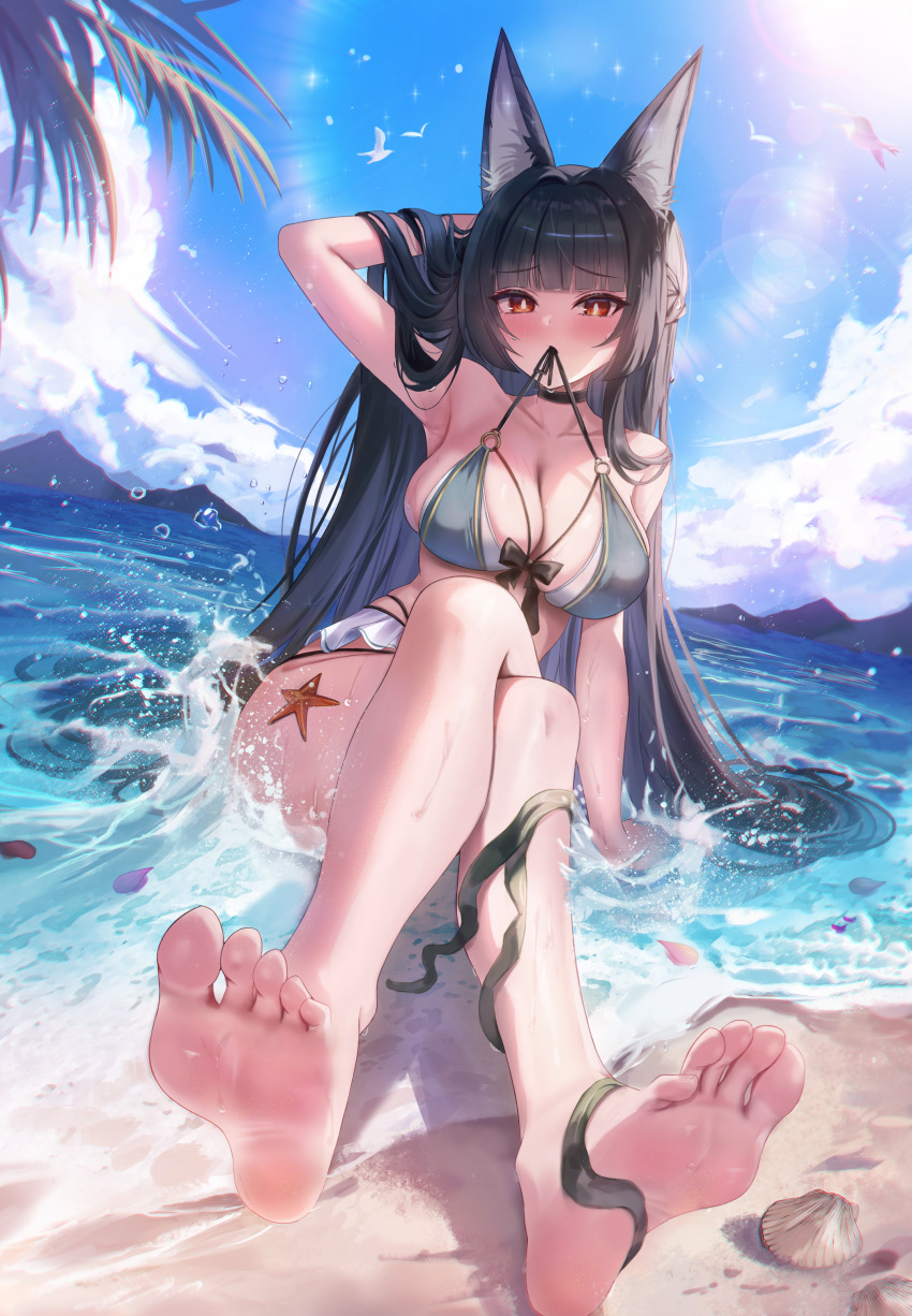 Hoshimi Miyabi (Zenless Zone Zero) Rule 34 Image
