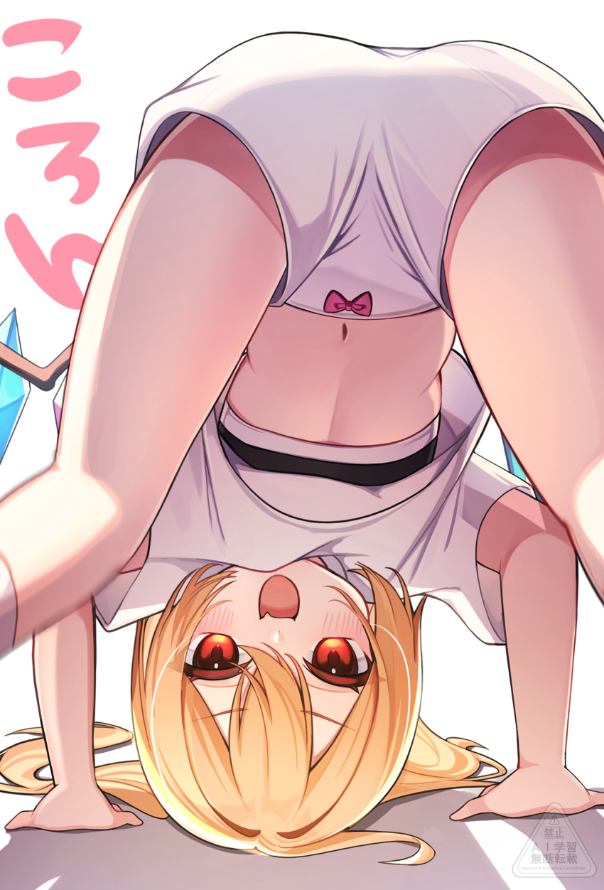 Flandre Scarlet (Touhou) Rule 34 Image