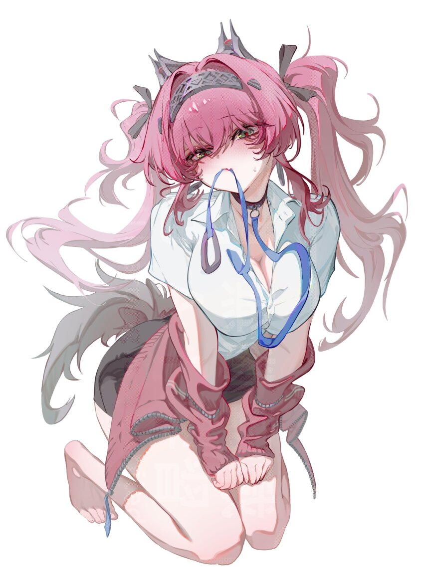 Lupa (Wuthering Waves) Rule 34 Image