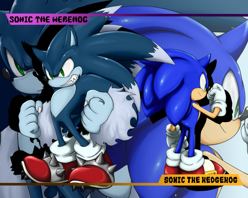 Sonic The Hedgehog (Sonic (Series)) Rule 34 Image