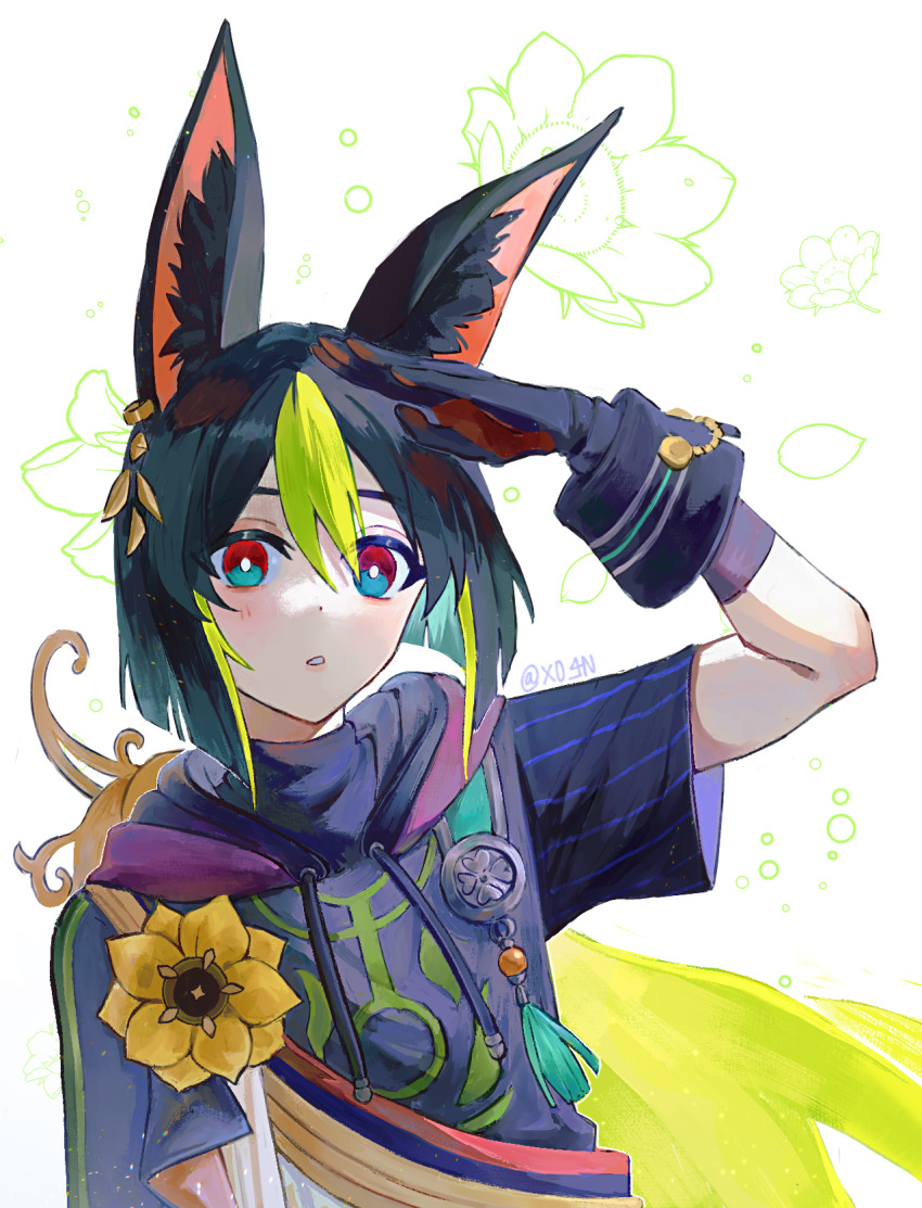Tighnari (Genshin Impact) Rule 34 Image