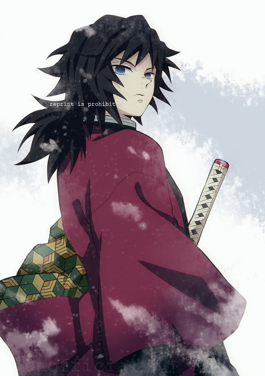 Tomioka Giyuu (Kimetsu No Yaiba) Rule 34 Image