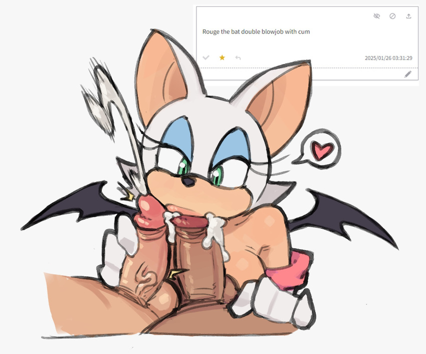 Rouge The Bat (Sonic (Series)) Rule 34 Image