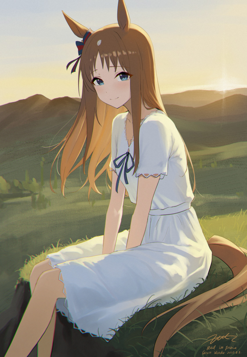 Grass Wonder (Umamusume) Rule 34 Image