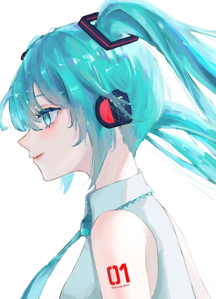 Hatsune Miku (Vocaloid) Rule 34 Image
