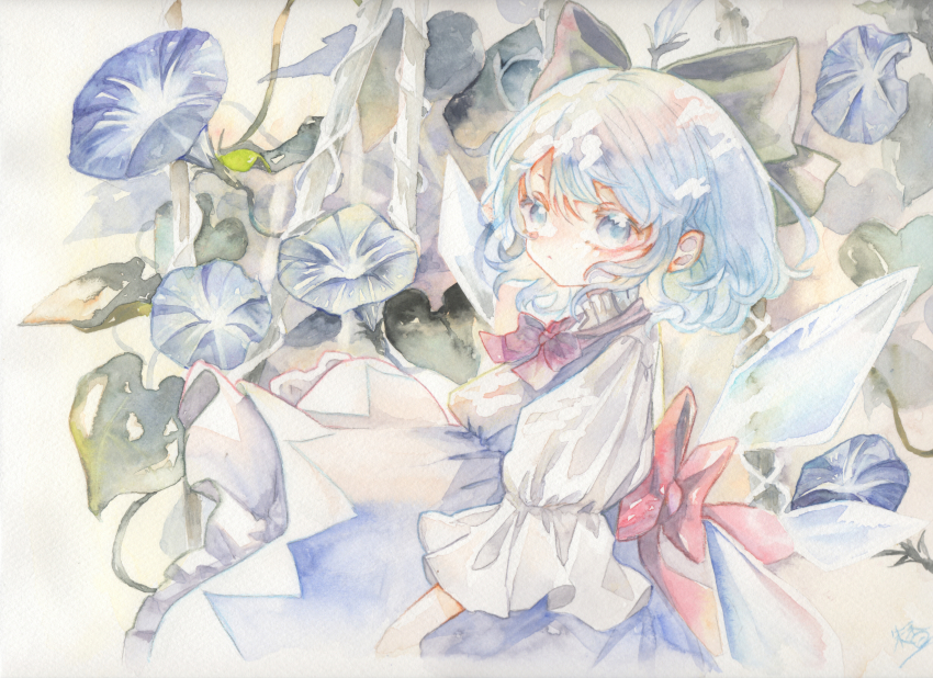 Cirno (Touhou) Rule 34 Image