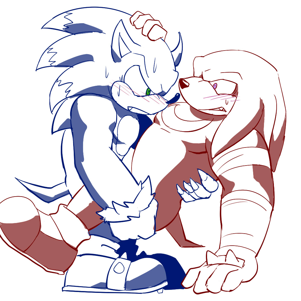 Knuckles The Echidna (Sonic (Series)) Rule 34 Image