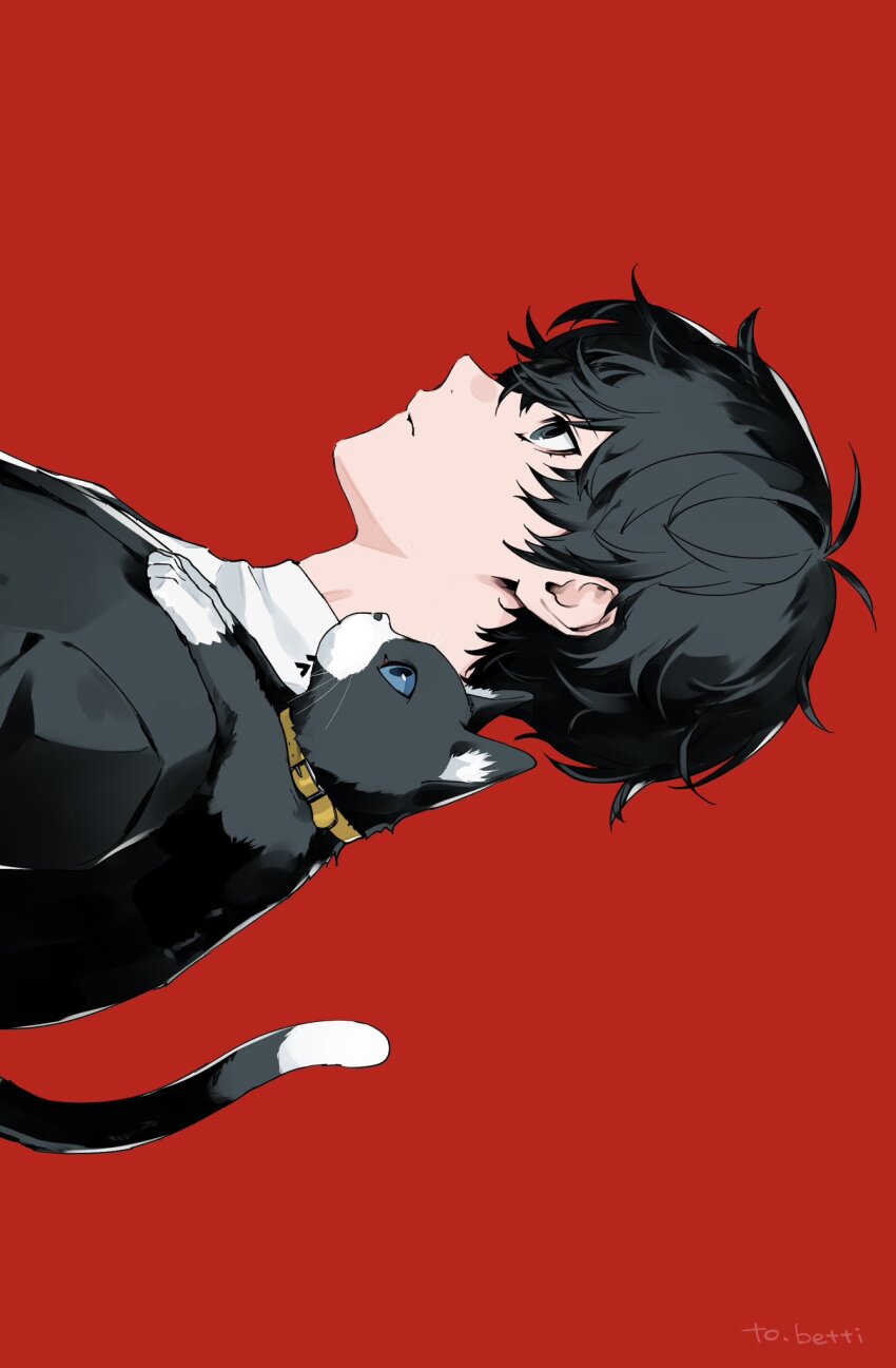 Amamiya Ren (Morgana (Persona 5)) Rule 34 Image