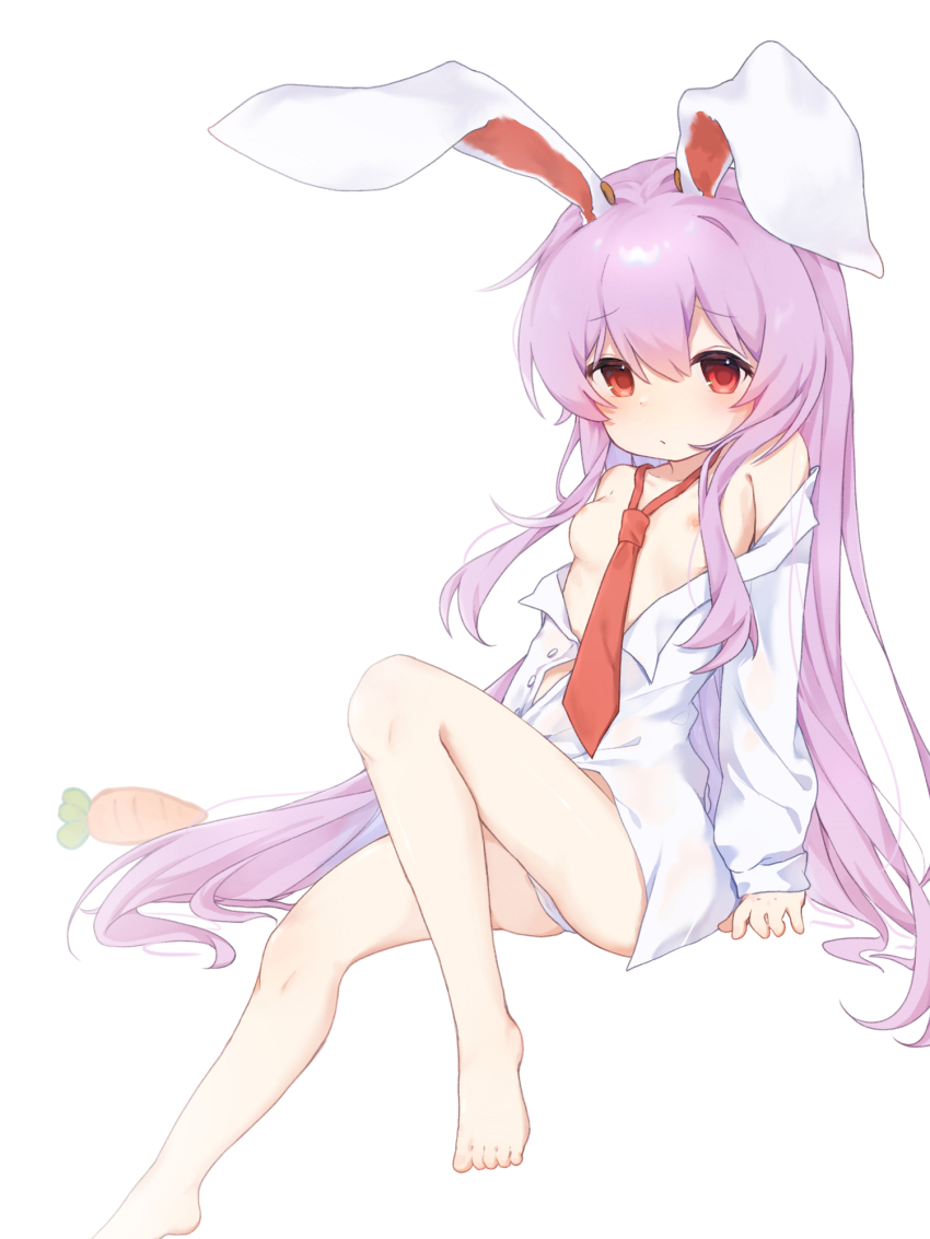 Reisen Udongein Inaba (Touhou) Rule 34 Image