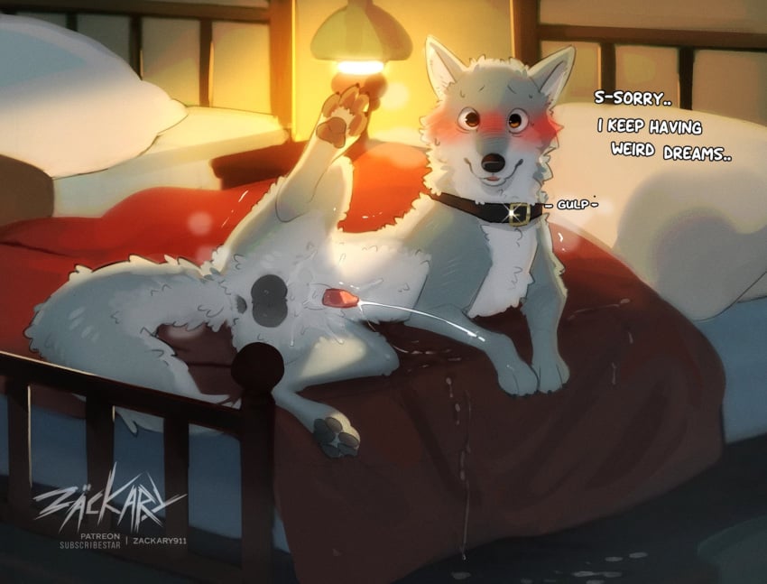 Animal Genitalia Rule 34 Image