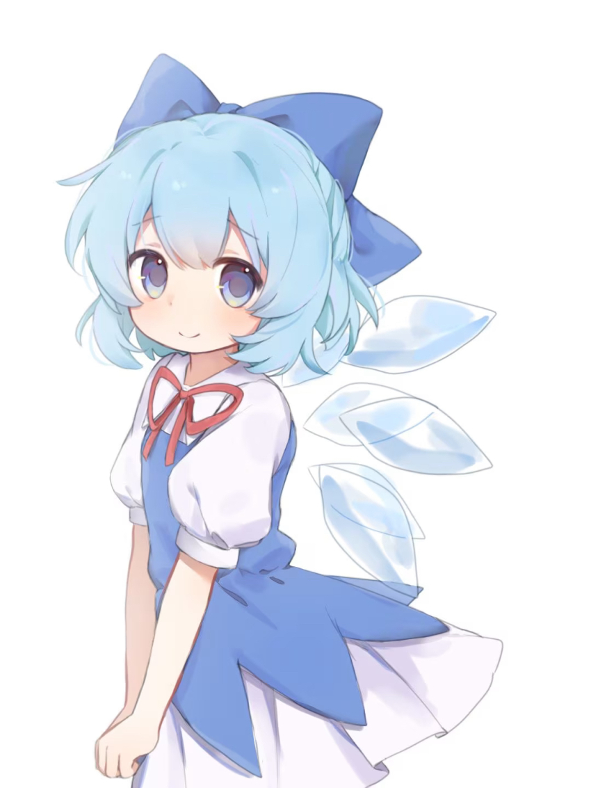 Cirno (Touhou) Rule 34 Image
