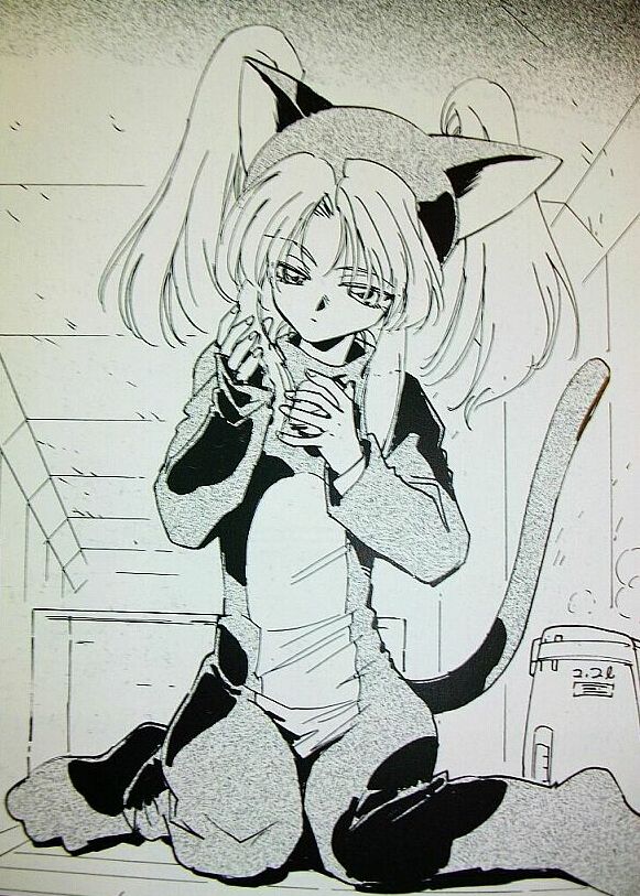 Hoshino Ruri (Kidou Senkan Nadesico) Rule 34 Image