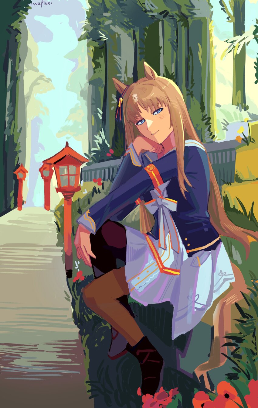 Grass Wonder (Umamusume) Rule 34 Image