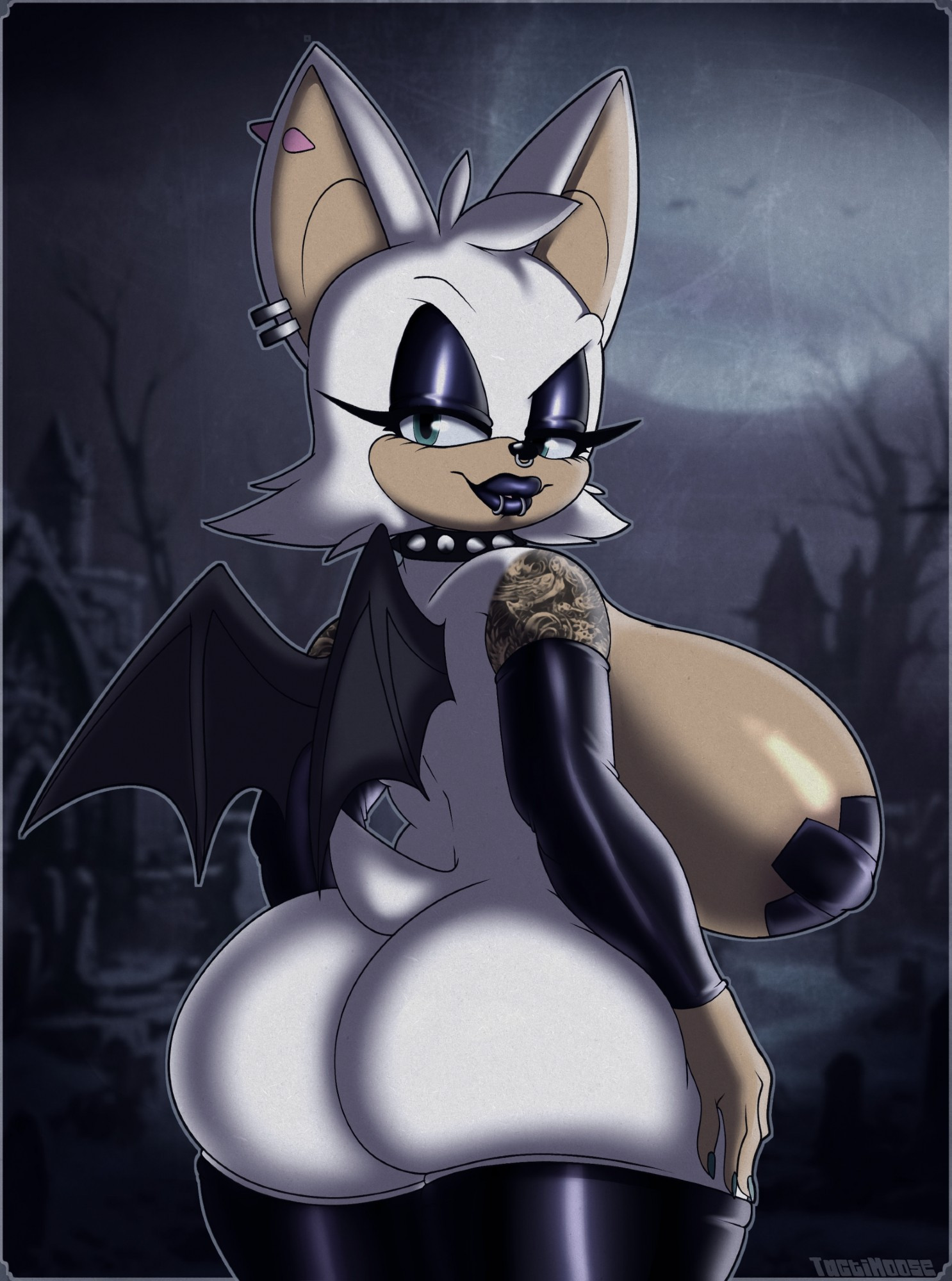 Rouge The Bat (Sega) Rule 34 Image